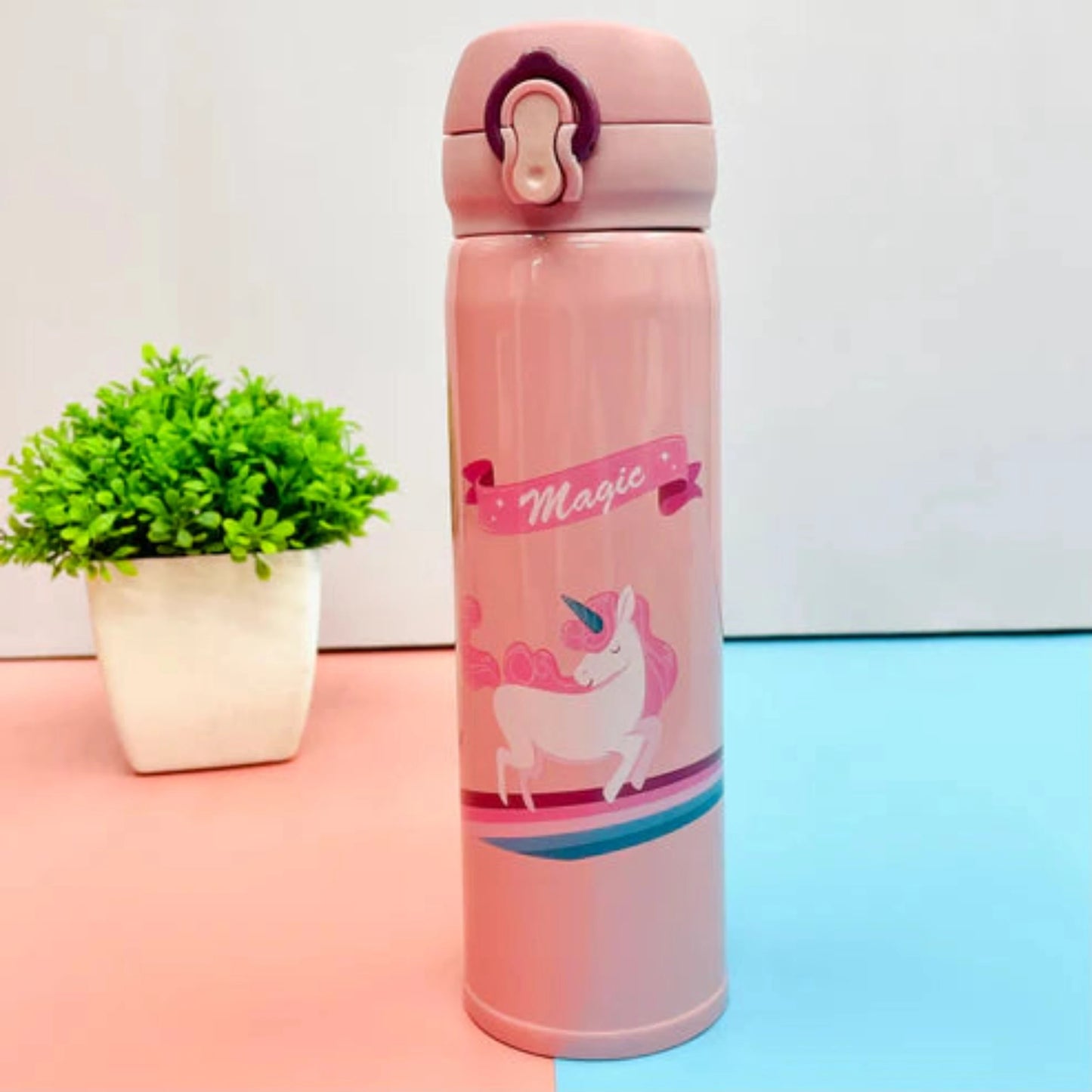 Stainless Steel Vacuum Insulated Water Bottle